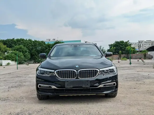BMW 5 Series New Energy 2019 530Le Luxury Package