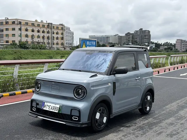 Geely Galaxy Panda 2025 Model Year 210km Panda Kart