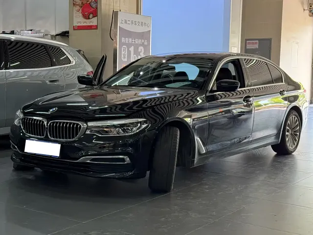BMW 5 Series 2019 530Li Premium Luxury Package