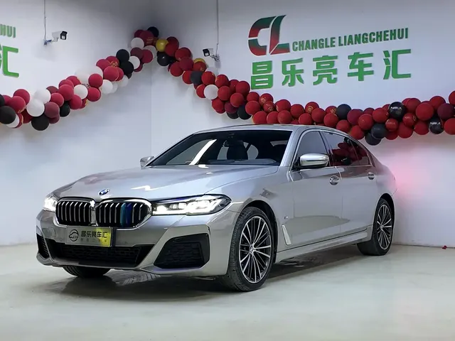BMW 5 Series 2021 530Li Leading Luxury Package