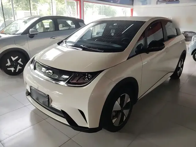 BYD Dolphin 2023 420km Freedom Edition
