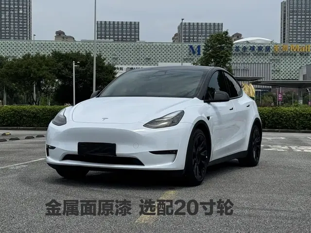 Tesla Model Y 2021 Standard Range Rear-Wheel Drive
