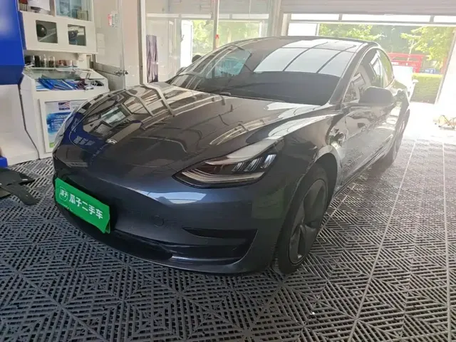 Tesla Model 3 2019 Standard Range Rear-Wheel Drive Upgrade