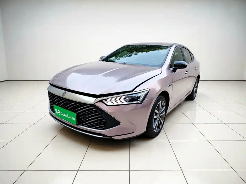 BYD Qin PLUS 2023 Champion Edition DM-i 55KM Leading