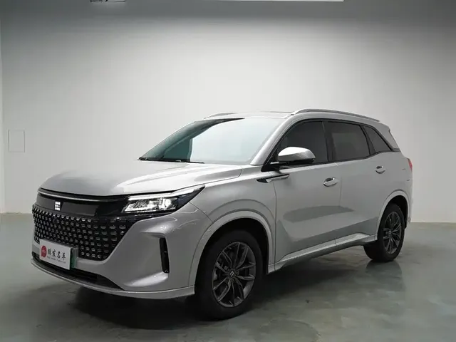 Landian E5 2024 Glory Edition 100KM Comfort Type 7-Seater