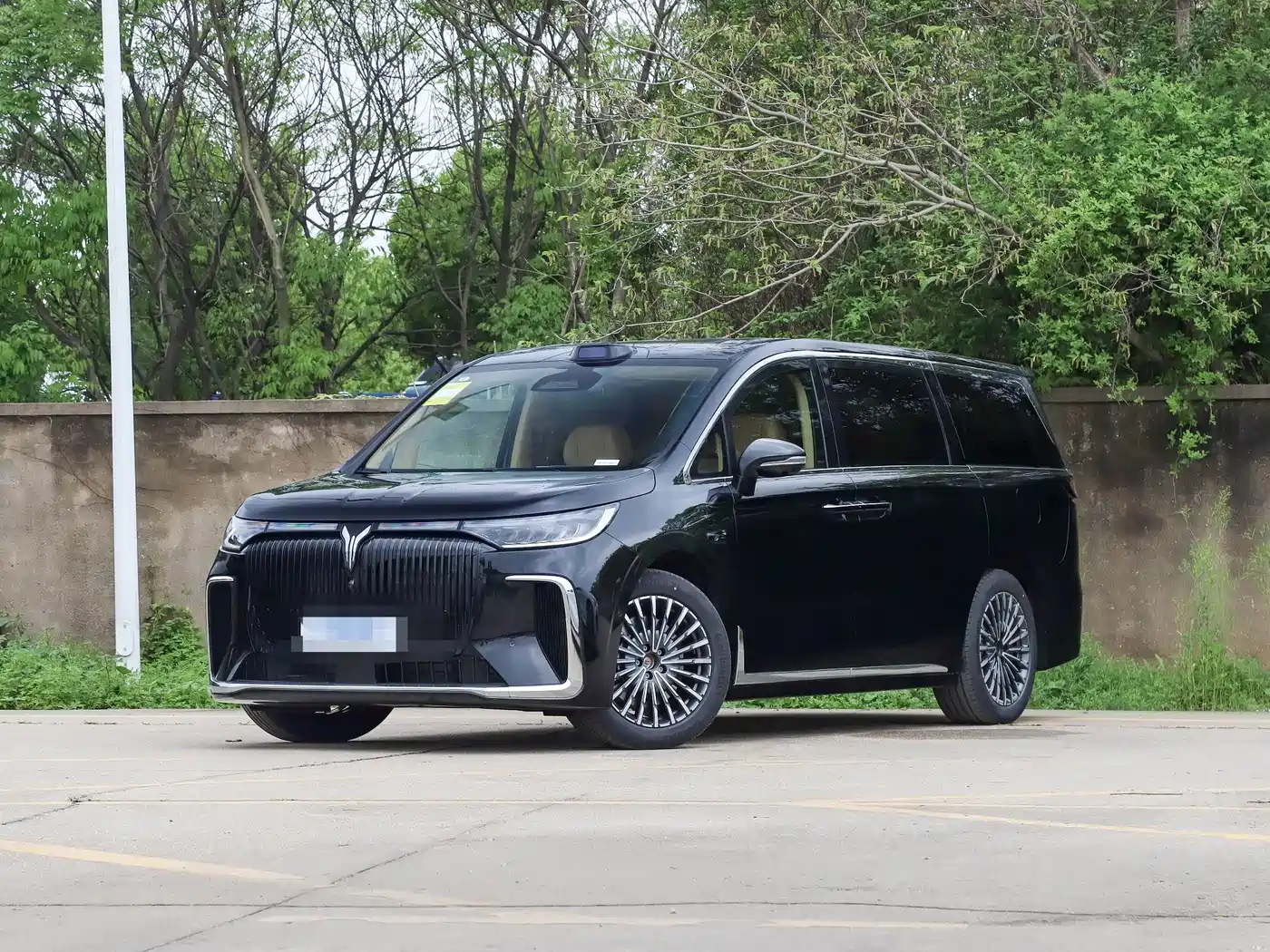 Voyah Auto Voyah Dreamer 2022 Low-carbon Dream+Smart Package