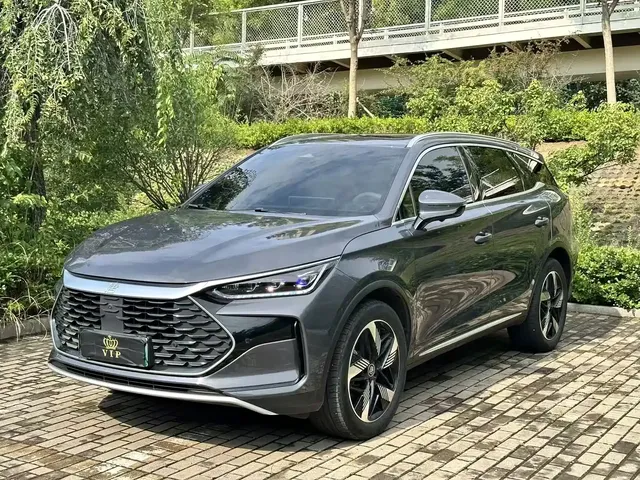 BYD Tang New Energy 2026 DM-i 115KM Premium