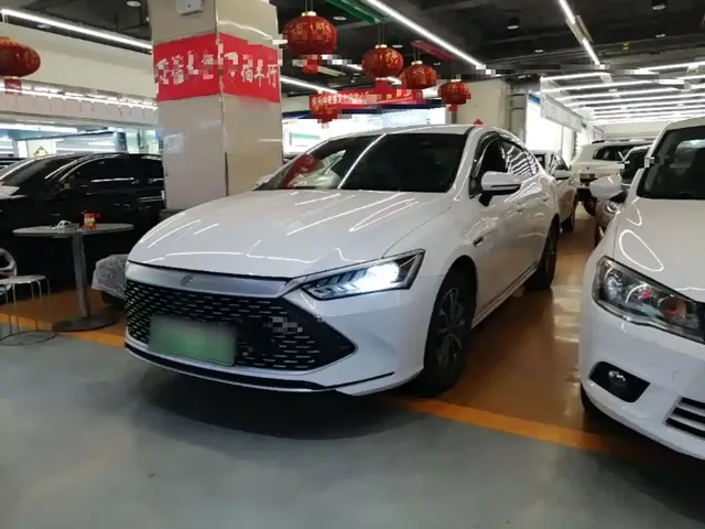 BYD Qin PLUS 2024 Glory Edition DM-i 55KM Surpass
