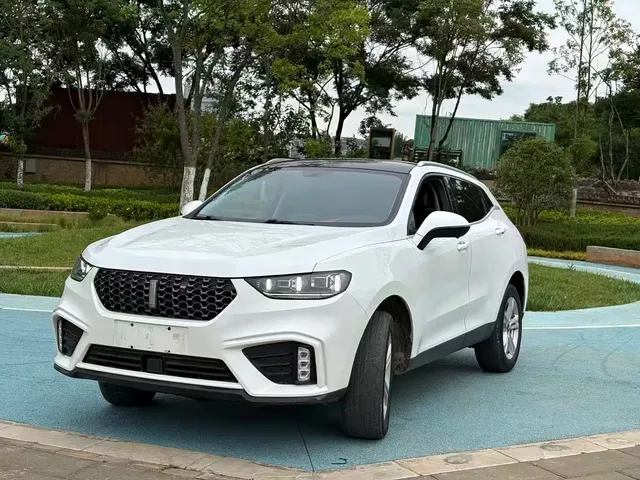 WEY VV5 2020 1.5T 2WD Style Pioneer