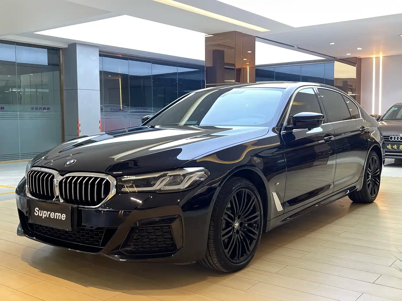 BMW 5 Series 2021 530Li Leading Luxury Package