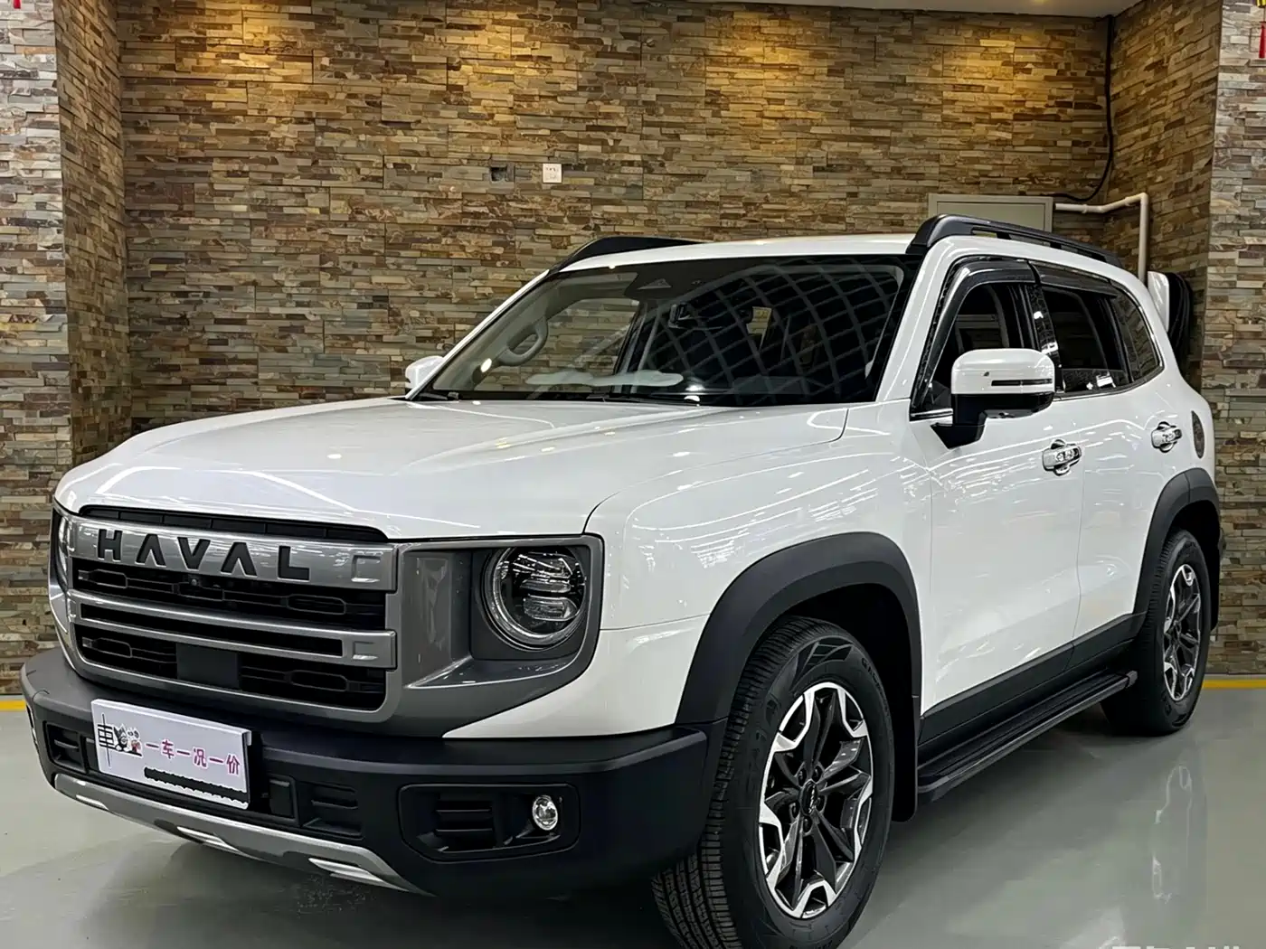 Haval Big Dog 2022 2.0T DCT AWD Chinese Pastoral Dog Edition