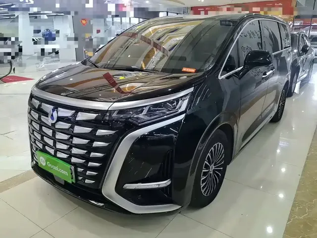 Denza D9 2024 DM-i 980 AWD Flagship