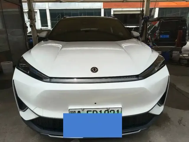 Dongfeng Aeolus Dongfeng Fengshen L7 2024 205 Plus