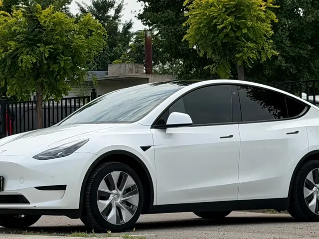 Tesla Model Y 2022 Rear-Wheel Drive Version