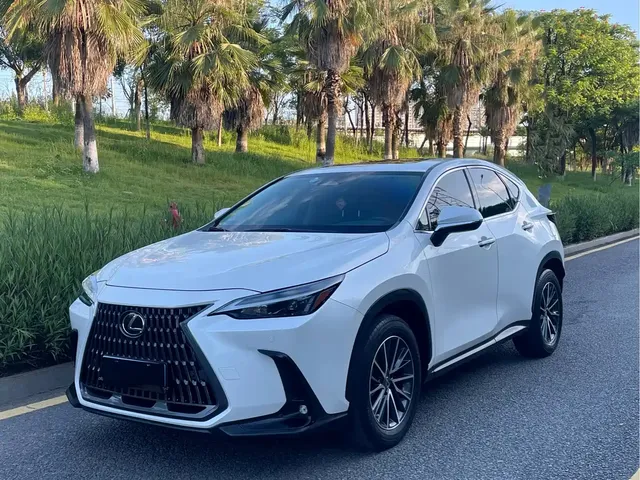 Lexus NX 2022 260 FWD Joy Creation Edition