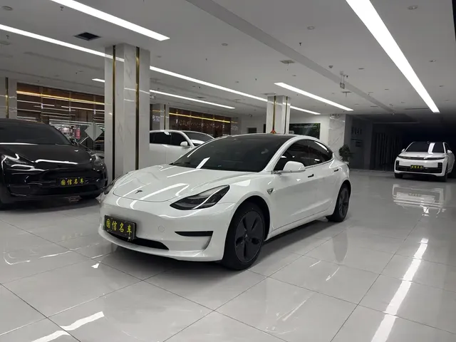 Tesla Model 3 2019 Standard Range Rear-Wheel Drive Upgrade