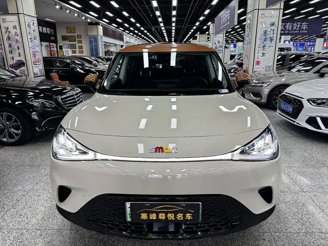 smart Elf #1 2026 Model Smart Long Range Edition