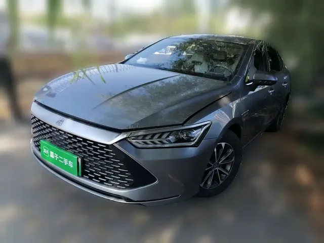BYD Qin PLUS 2023 Champion Edition DM-i 55KM Leading