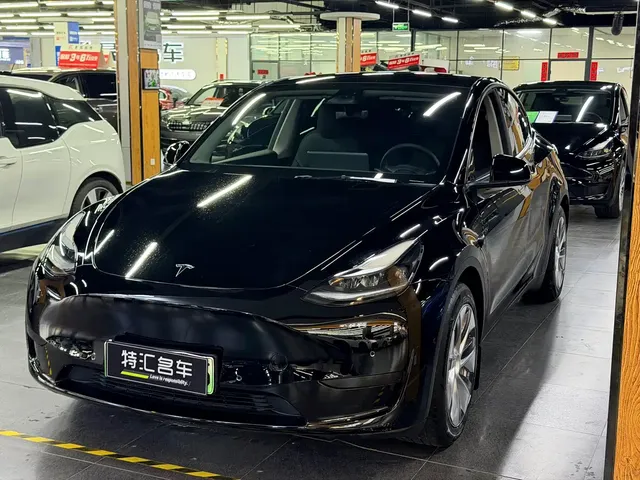 Tesla Model Y 2022 Rear-Wheel Drive Version