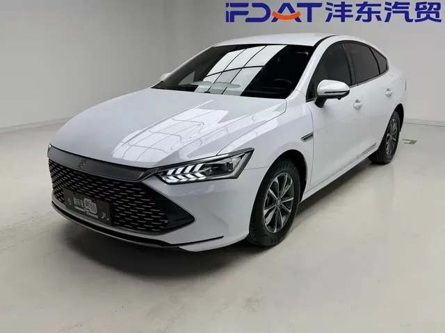 BYD Qin PLUS 2024 Glory Edition DM-i 55KM Leading