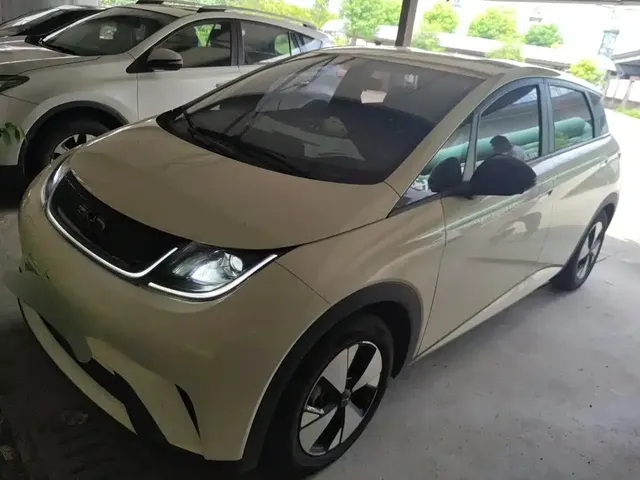 BYD Dolphin 2023 420km Freedom Edition