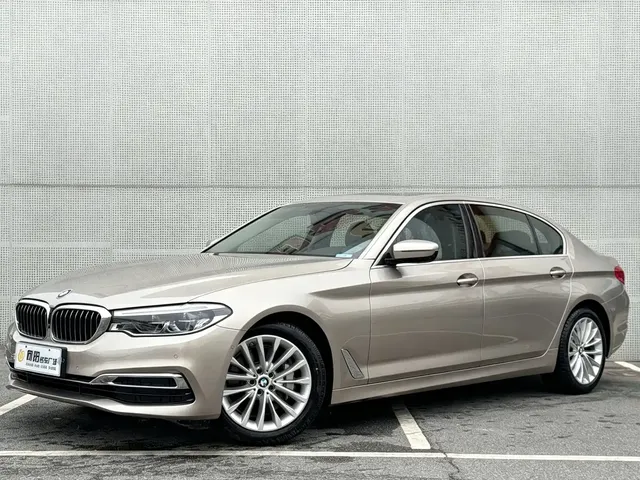 BMW 5 Series 2020 530Li Leading Luxury Package