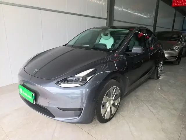 Tesla Model Y 2022 Rear-Wheel Drive Version