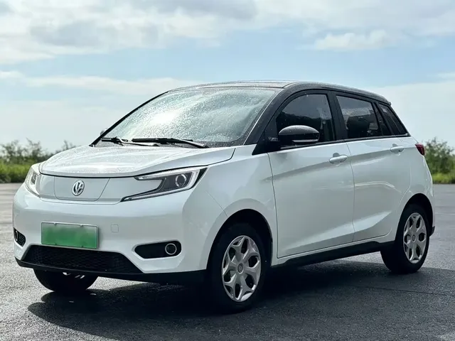 Electric House YOUNG Guang Xiaoxin 2021 L400 4-Seater