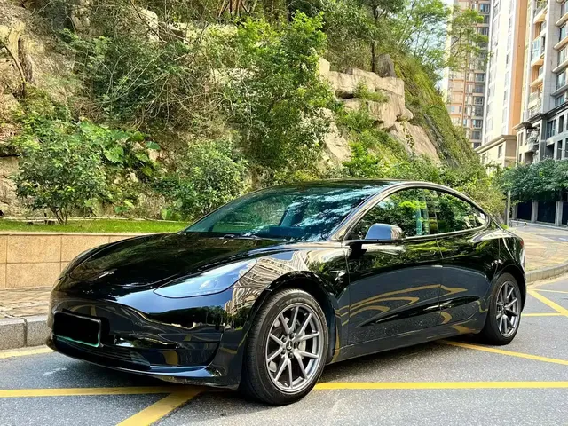 Tesla Model 3 2023 Rear-Wheel Drive