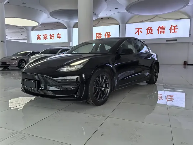 Tesla Model 3 2021 Standard Range Rear-Wheel Drive Upgrade