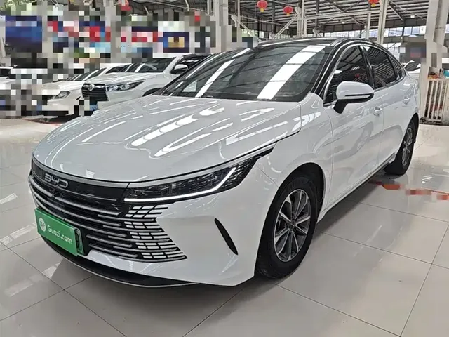 BYD Destroyer 05 2024 Glory Edition DM-i 55KM Luxury
