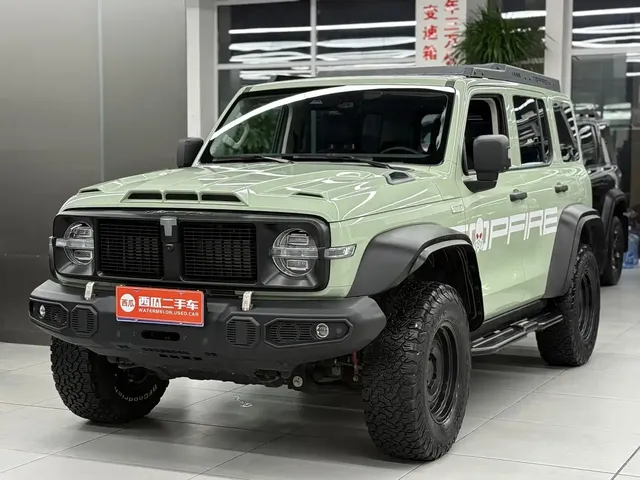 Tank 300 2021 2.0T Wind Forest Iron Cavalry