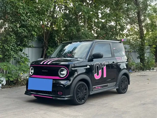 Geely Galaxy Panda 2025 Model Year 210km Panda Kart