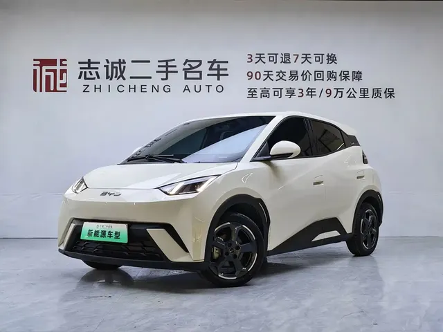 BYD Seagull 2024 Glory Edition 305km Freedom Edition