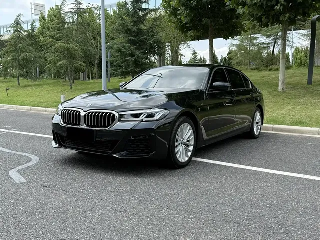 BMW 5 Series 2019 530Li Leading Luxury Package