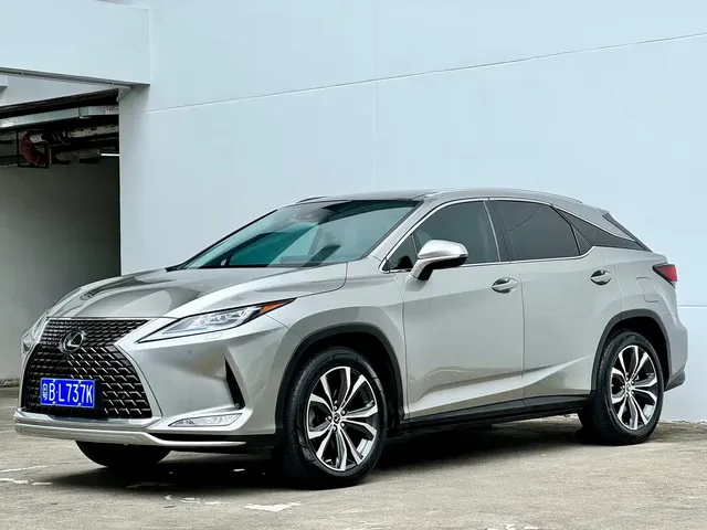 Lexus RX 2020 300 AWD Elegance Edition China V