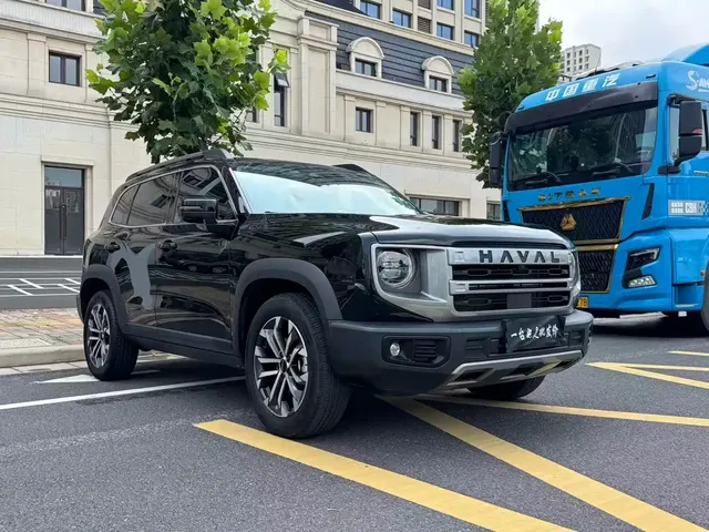 Haval Big Dog 2024 1.5T DCT Border Collie Edition