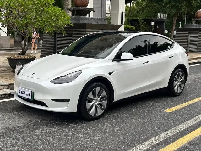 Tesla Model Y 2021 Standard Range Rear-Wheel Drive