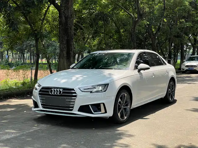 Audi A4L 2019 40 TFSI Progressive (China VI)