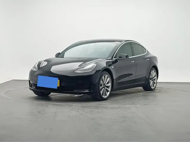 Tesla Model 3 2020 Standard Range Rear-Wheel Drive Upgrade