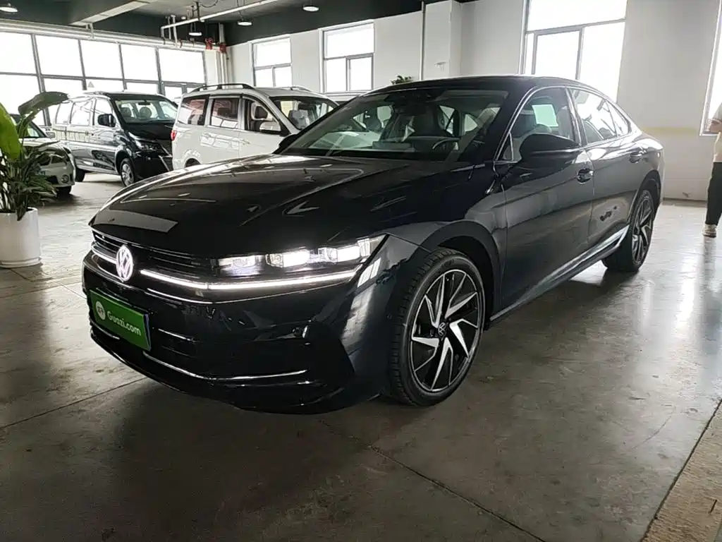 Volkswagen Magotan 2024 380TSI DSG Ultimate Edition