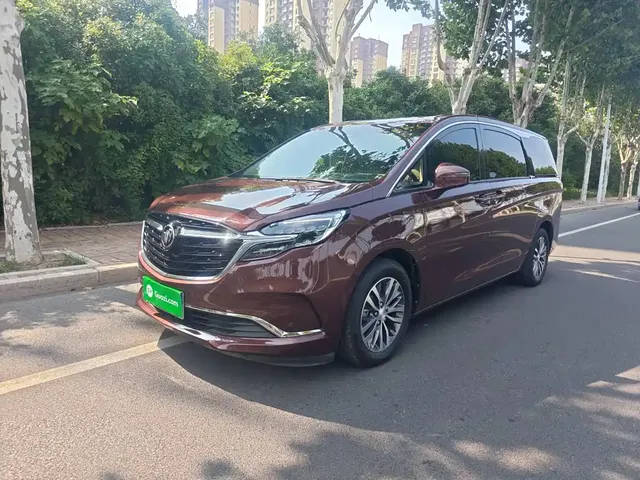 Buick GL8 2022 ES Landmark 653T Premium