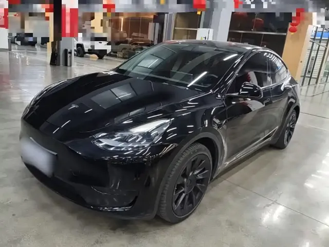 Tesla Model Y 2022 Rear-Wheel Drive Version