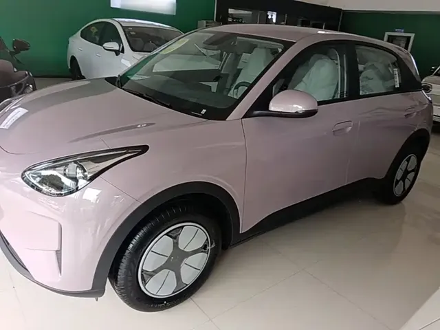 Geely Galaxy Starry Wish 2026 Edition 310km Youth Version