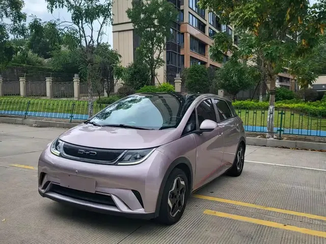 BYD Dolphin 2021 405km Freedom Edition