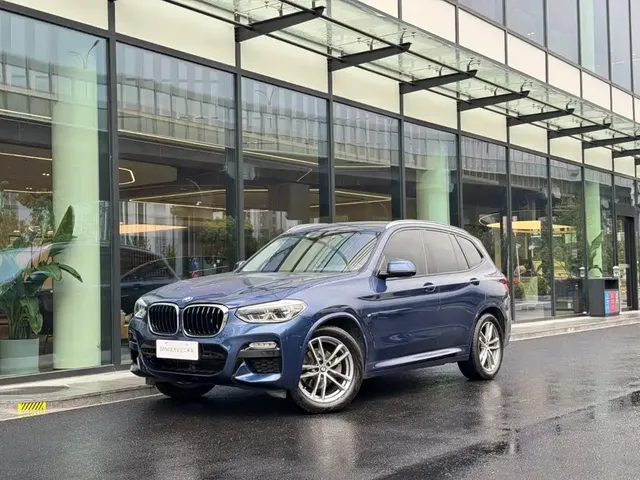 BMW X3 2018 xDrive30i Leading M Sport Package China V