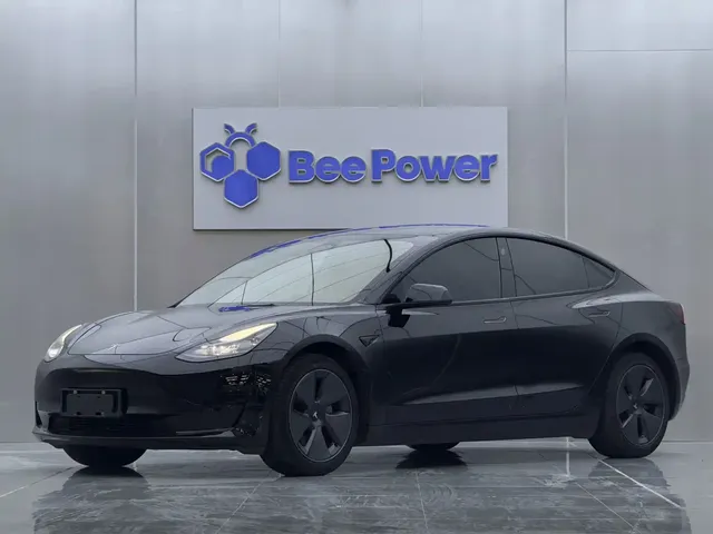 Tesla Model 3 2022 Model Rear-Wheel Drive Version