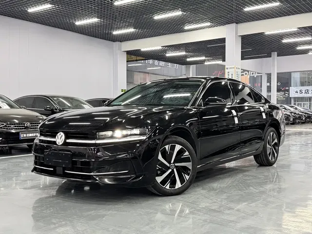 Volkswagen Magotan 2024 300TSI DSG Premium Edition (Eye-catching Package)