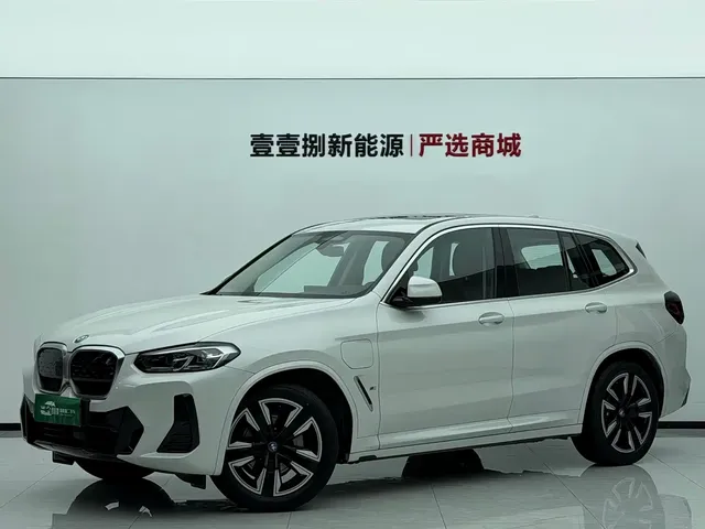 BMW iX3 2023 Leading Type