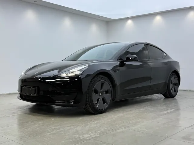 Tesla Model 3 2022 Model Rear-Wheel Drive Version